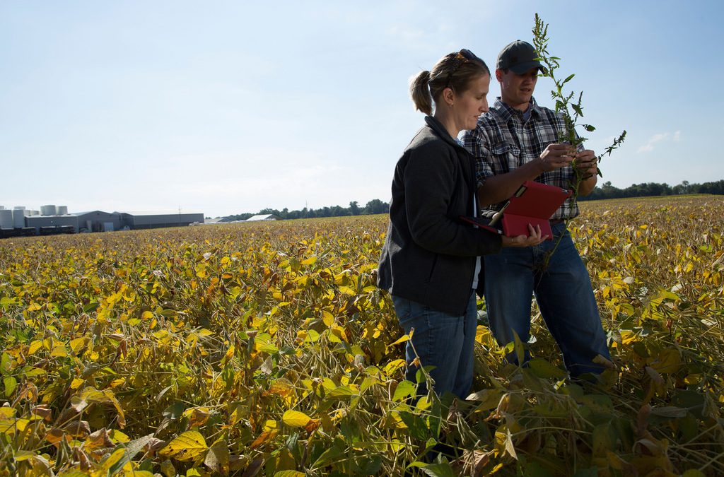 Come diventare imprenditore agricolo – la guida di Social Academy